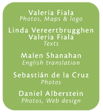 daniel alberstein
