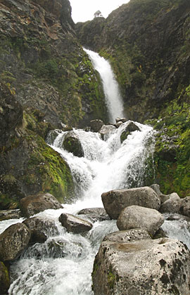 glaciar alerce, pampa linda, caminatas, tronador, glaciares