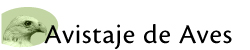 actividades recreativas, avistaje de aves, pampa linda