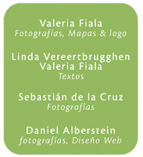 daniel alberstein